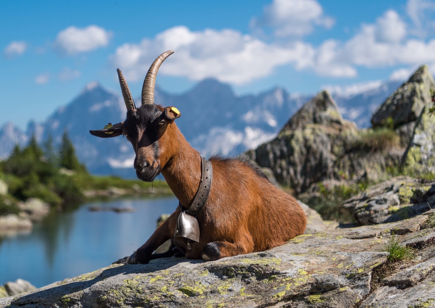 Sommer am Arlberg